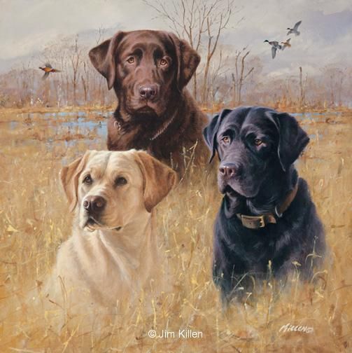 Jim Killen Artist Proof Fine Art Print:"Marsh Masters"