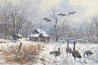 Jim Killen Handsigned and Numbered Limited Edition Print: "Winter Refuge"