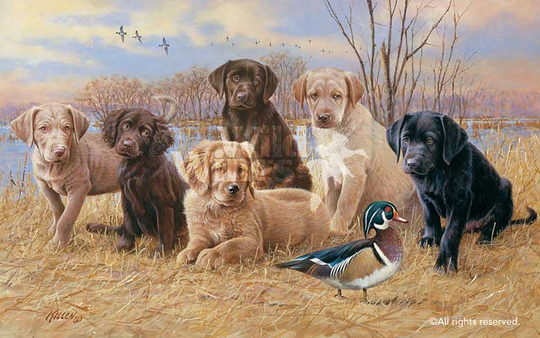 Jim Killen Handsigned and Numbered Limited Giclee on Canvas: "Marsh Madness-Puppies"