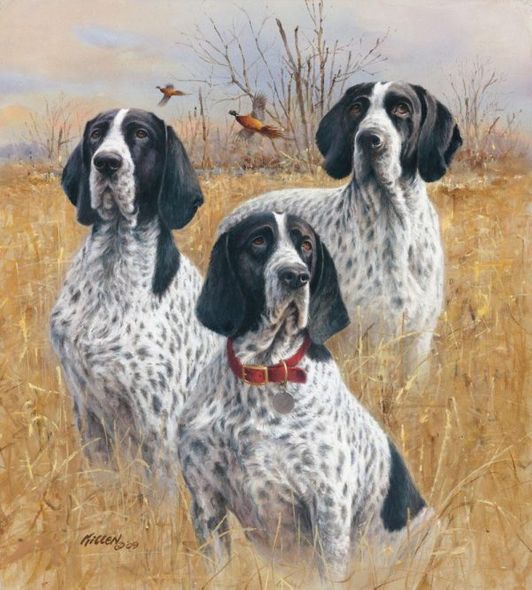 Jim Killen Artist Signed Canvas Giclee:"Proud Heritage” – Braque d'Auvergne"