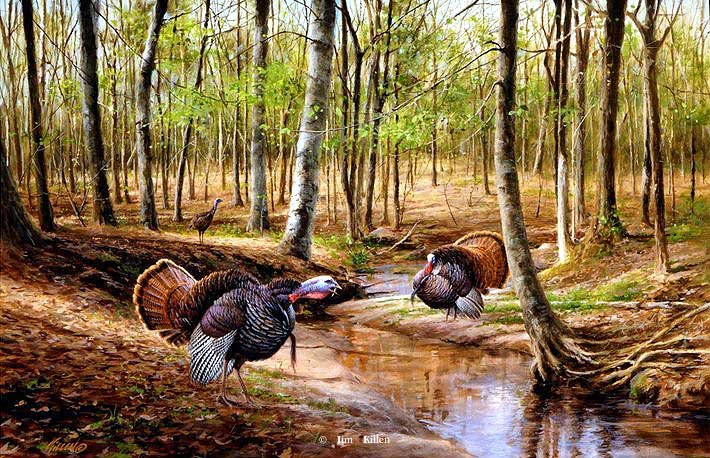 Jim Killen Limited Edition Artist Proof Print: "Challenge at Turkey Creek" 