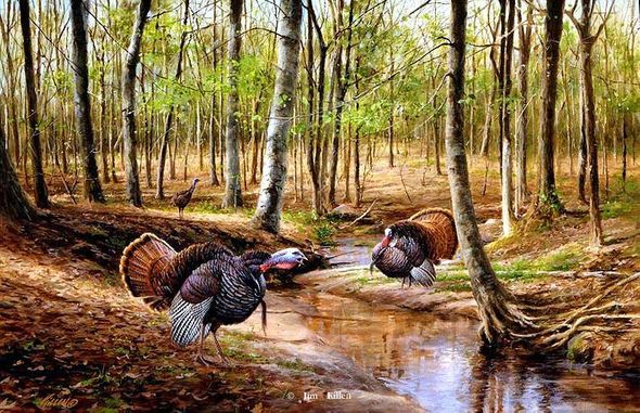 Jim Killen Limited Edition Artist Proof Print: "Challenge at Turkey Creek" 