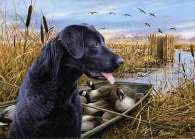 Jim Killen Limited Edition Print:The Empty Blind: "Black Lab"