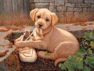 Jim Lamb Limited Edition Print: "The Missing Shoe"