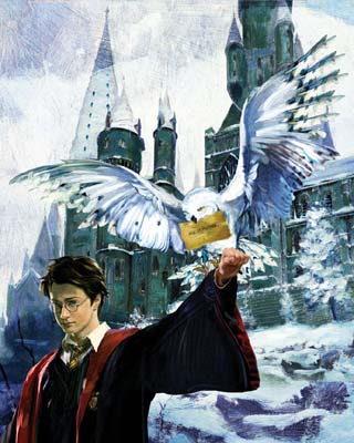 Jim Salvati Harry Potter Limited Edition Giclee Print:"Harry & Hedwig"