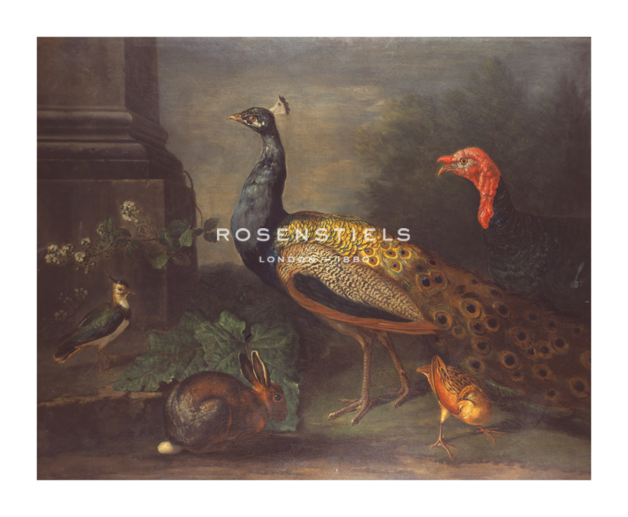 Johann Wenzel Peter Hand Numbered Limited Edition Print on Paper :"A Turkey, Peacock, Peewit, Rabbit"