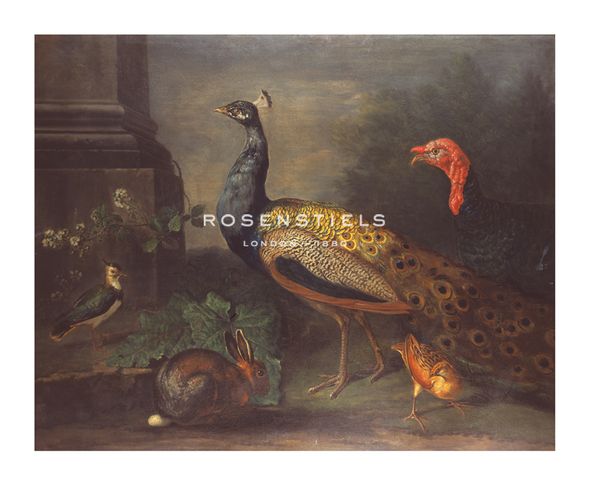 Johann Wenzel Peter Hand Numbered Limited Edition Print on Paper :"A Turkey, Peacock, Peewit, Rabbit"