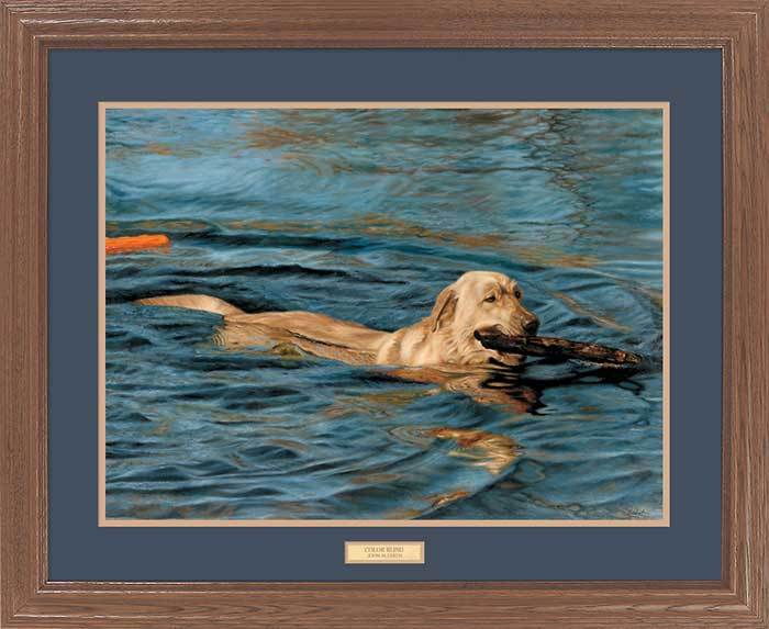 John Aldrich Framed Open Edition Print:"Color Blind-Yellow Lab"