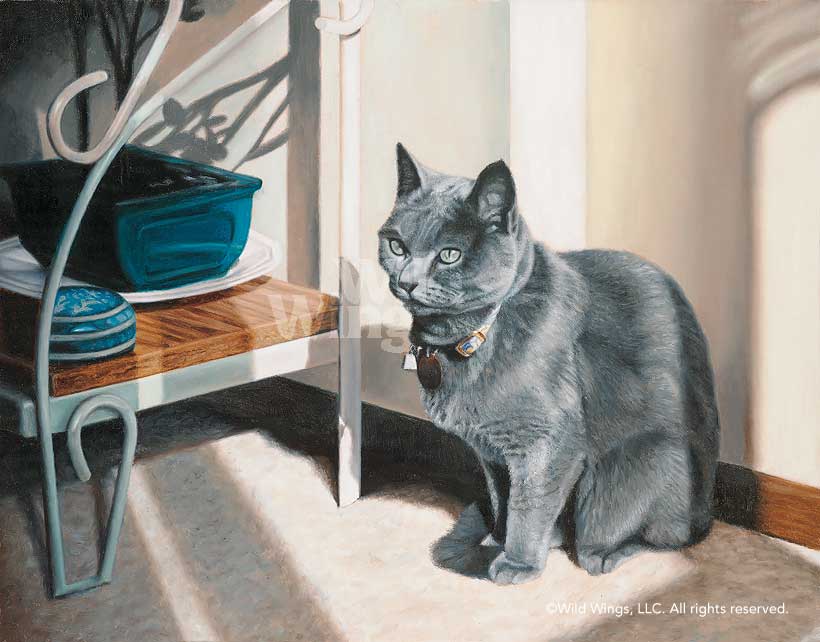 John Aldrich Original Oil Painting "Kitty CornerCat" John Aldrich