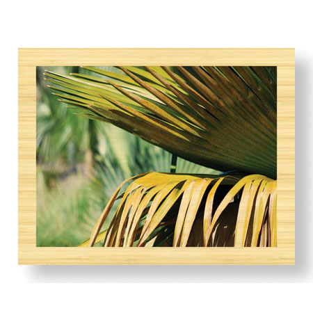 John B Gynell Limited Edition Ready to Hang Giclee on Sustainable Bamboo: "Untitled 6"