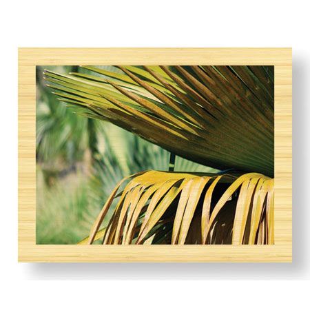 John B Gynell Limited Edition Ready to Hang Giclee on Sustainable Bamboo: "Untitled 6"