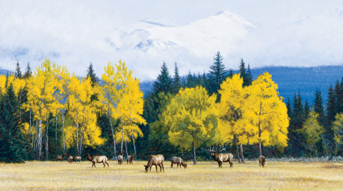 JOHN BANOVICH 20X36 Secondary Market Art: "ECHOES IN GOLD APGCNV"