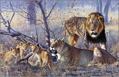 John Banovich limited edition giclée on canvas:"Bahati Ya Kawinda"