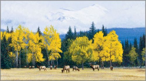 John Banovich limited edition giclée on canvas:"Echoes in Gold"