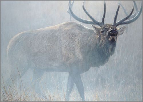John Banovich limited edition gicl&eacute;e on canvas:"Echoes of Yellowstone"