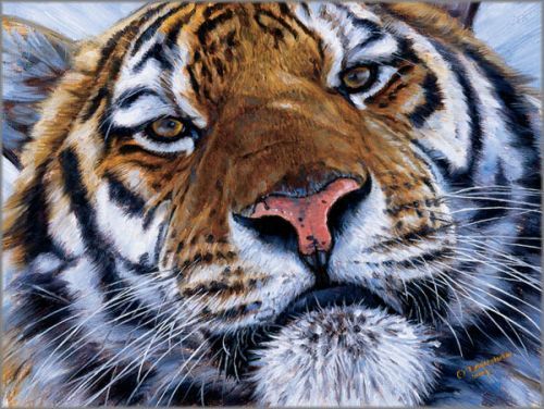 John Banovich limited edition gicl&eacute;e on canvas:"Face to Face"