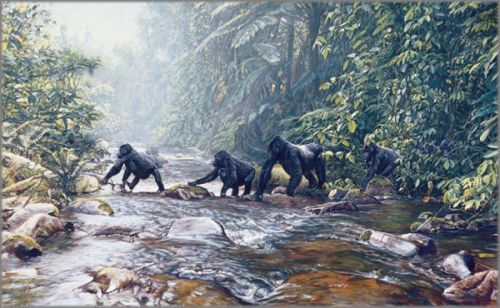 John Banovich limited edition gicl&eacute;e on canvas:"Fleeing Rwanda"