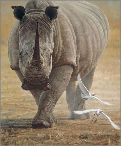 John Banovich limited edition gicl&eacute;e on canvas:"Great White"