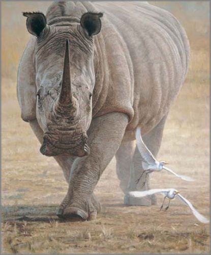 John Banovich limited edition giclée on canvas:"Great White"