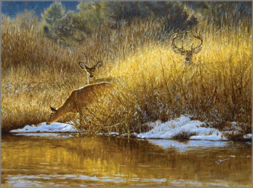 John Banovich limited edition gicl&eacute;e on canvas:"Ladies First"