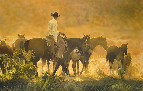 John Bye Hand Signed and Numbered Limited Edition Canvas Gicl&eacute;e:"Setting Sun"