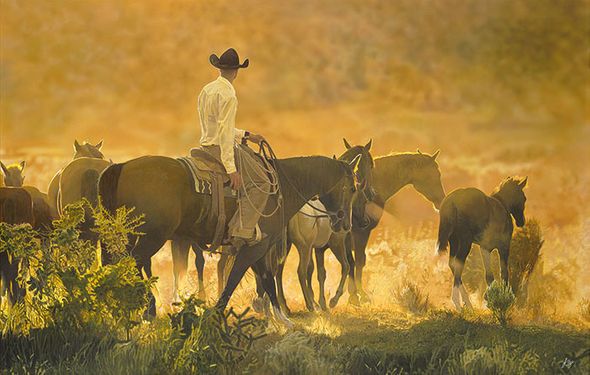 John Bye Hand Signed and Numbered Limited Edition Canvas Gicl&eacute;e:"Setting Sun"