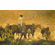 John Bye Hand Signed and Numbered Limited Edition Canvas Gicl&eacute;e:"Setting Sun"