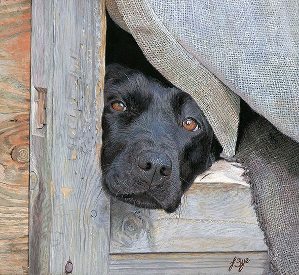 John Bye Open Edition Gicl&eacute;e Canvas:"Let Me Out"