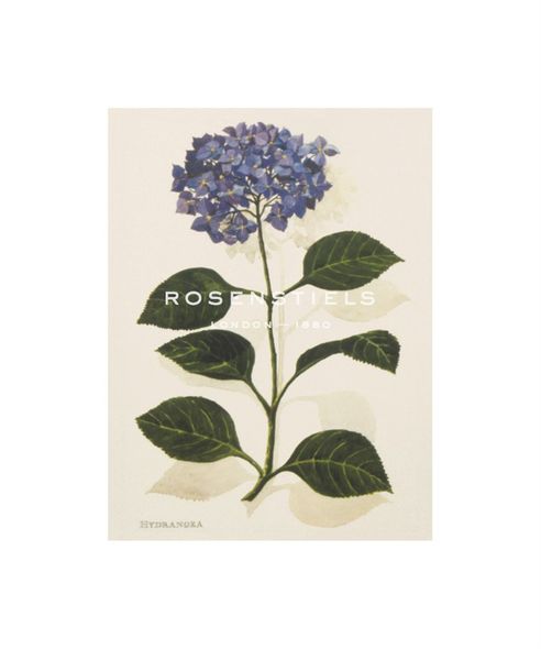 John Miller Hand Numbered Limited Edition Print on Paper :"Hydrangea"