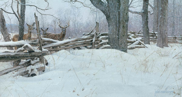John Mullane Handsigned & Numbered Limited Edition Print:"Whose Woods These Are"