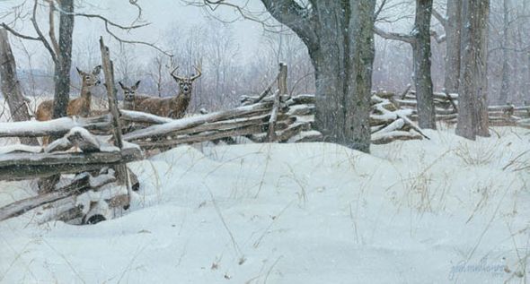 John Mullane Handsigned & Numbered Limited Edition Print:"Whose Woods These Are"