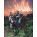 John Paul Strain Hand Signed and Numbered Limited Edition:"Golden Sky"
