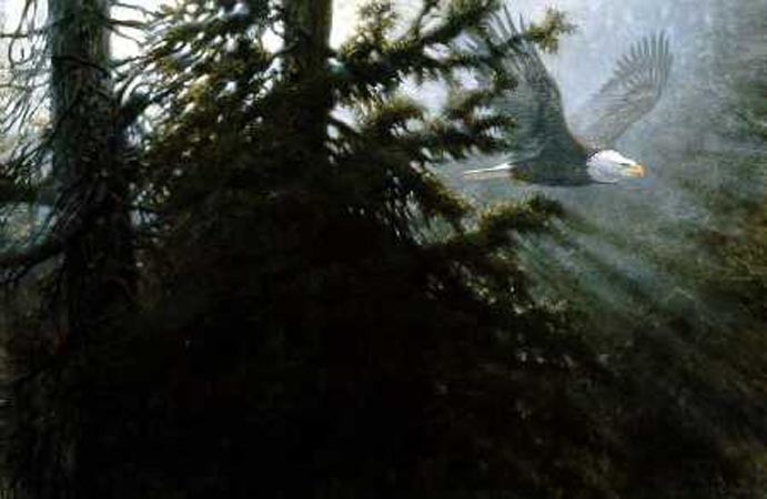 John Seerey-Lester Hand Signed and Numbered Limited Edition Print "Morning Glory – Bald Eagle"