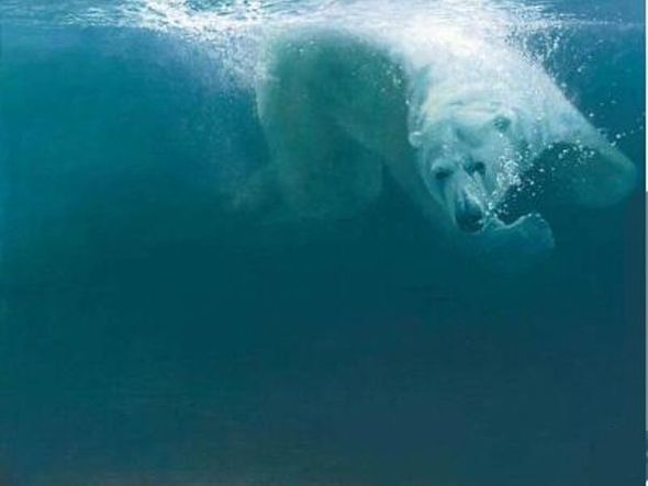 John Seerey - Lester Handsigned and Numbered Limited Edition Giclee on Canvas:"Polar Impact"