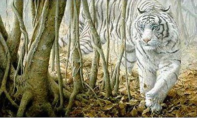 John Seerey-Lester Handsigned and Numbered Renaissance Edition Gicl&eacute;e Canvas:"Softly, Softly - White Tiger"
