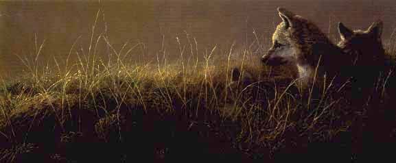 John Seerey-Lester Limited Edition Print: "Abandoned"