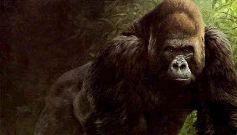 John Seerey - Lester Limited Edition Print:"Face to Face"