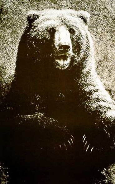 John Seerey - Lester Limited Edition Original Lithograph Print:"Grizzly"