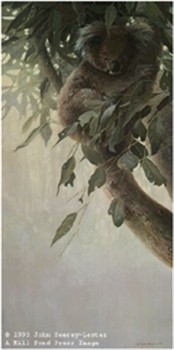 John Seerey - Lester Limited Edition Print:"Child Of The Outback"