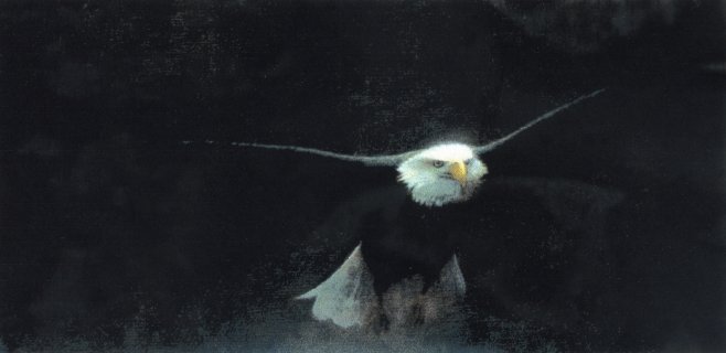 John Seerey-Lester Limited Edition Print: "Freedom ll"