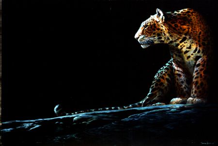 John Seerey - Lester Limited Edition Print:"Full Moon Rising-Leopard"