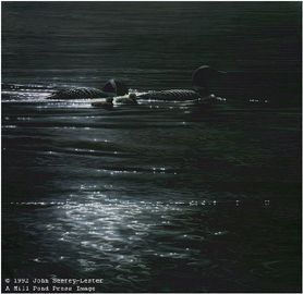 John Seerey - Lester Limited Edition Print:"Loonlight"