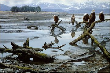 John Seerey - Lester Limited Edition Print:"Low Tide - Bald Eagles"