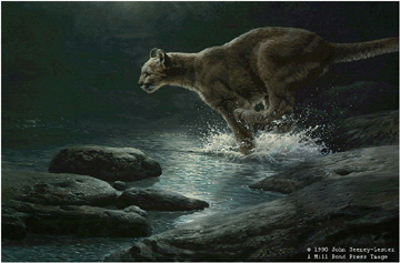 John Seerey - Lester Limited Edition Print:"Moonlight Chase - Cougar"