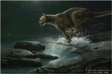 John Seerey - Lester Limited Edition Print:"Moonlight Chase - Cougar"