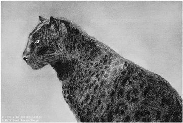 John Seerey - Lester Limited Edition Print:"Regal Majesty"