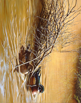 John Seerey - Lester Limited Edition Print:"Sundown Reflections - Wood Ducks"
