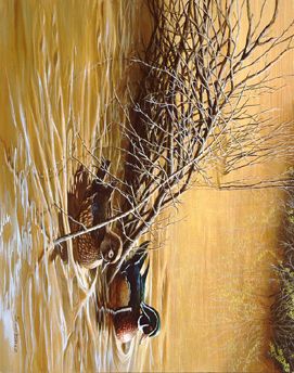John Seerey - Lester Limited Edition Print:"Sundown Reflections - Wood Ducks"