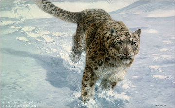 John Seerey - Lester Limited Edition Print:"The Chase-Snow Leopard"