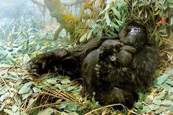 John Seerey - Lester Limited Edition Print:"Mountain Cradle"